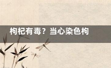 枸杞有毒？当心染色枸杞给健康下毒,枸杞有毒么