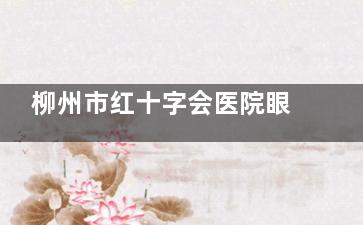 柳州市红十字会医院眼科医生简介！韦乐强、翟建伟、王欢燕、韦香慧等多位医生文内均有详细介绍！