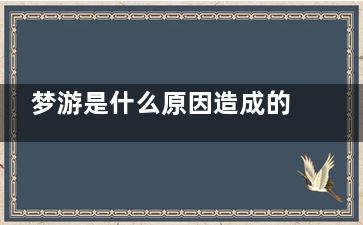 梦游是什么原因造成的(小孩夜里梦游是什么原因)