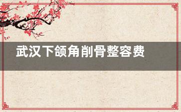 武汉下颌角削骨整容费用全新揭晓：下颌角磨骨12000+截骨21000+修复45000+