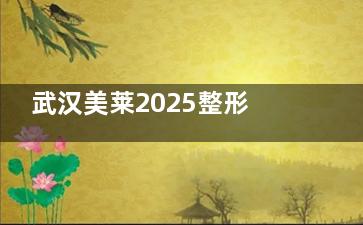 武汉美莱2025整形价格大公开！隆胸22800元起，吸脂塑形30000元，值不值？