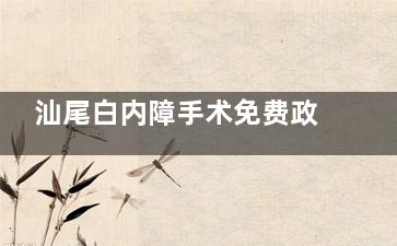 汕尾白内障手术免费政策救助政策:广东白内障免费治疗政策面向60岁以上老年人可申请免费手术!