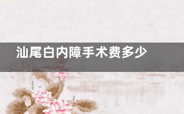 汕尾白内障手术费多少钱？价格表及2025免费治疗政策解析，含申请方式、申请流程、申请人群~