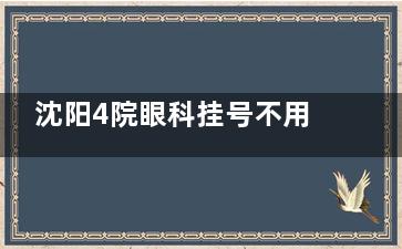 沈阳4院眼科挂号不用愁！官网/公众号/电话全攻略，快速约上医师号！