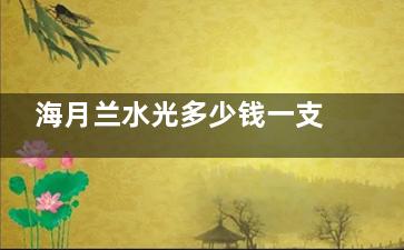 海月兰水光多少钱一支才合理？它的主要功效有哪些？这篇文章将为你详细解析海月兰水光的价格与功效