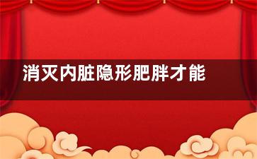 消灭内脏隐形肥胖才能更健康
