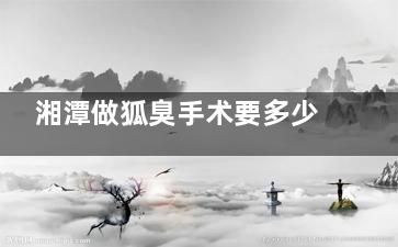 湘潭做狐臭手术要多少钱？2025湘潭做狐臭手术价格3000起，因手术方式、病情程度等因素有差异