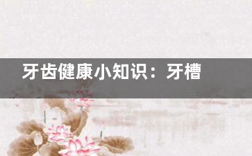 牙齿健康小知识：牙槽中隔和牙根间隔的区别，了解这两者对于保护你的牙齿至关重要！