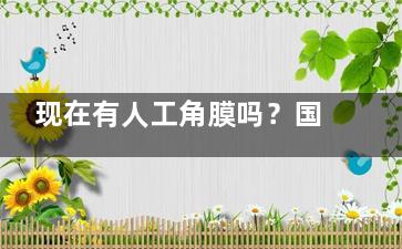 现在有人工角膜吗？国内哪些医院可以做人工角膜？2025医院名单及价格分享
