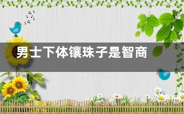 男士下体镶珠子是智商税？想改善亲密体验？关于镶珠子的5个真相，医生终于说清楚了~