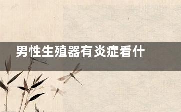 男性生殖器有炎症看什么科(炎症男性怎么治疗)