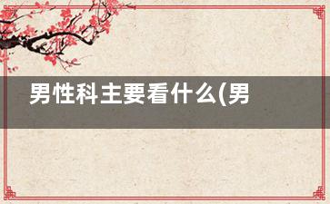 男性科主要看什么(男科一般看什么)
