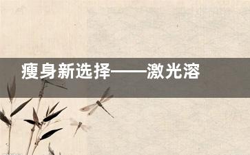 瘦身新选择——激光溶脂
