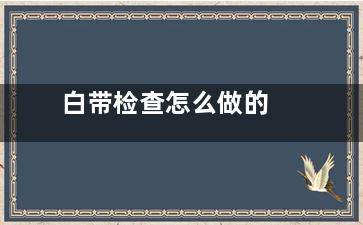 白带检查怎么做的