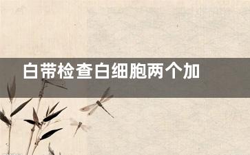 白带检查白细胞两个加号怎么治疗