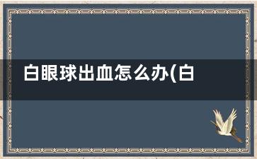 白眼球出血怎么办(白眼球出血怎么快速止血)