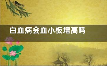 白血病会血小板增高吗(白血病会血小板高吗)