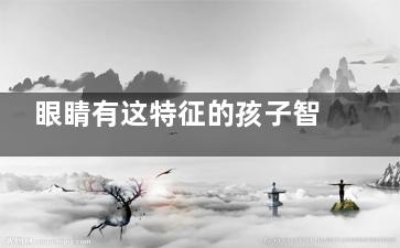 眼睛有这特征的孩子智商***