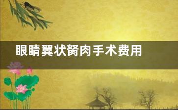 眼睛翼状胬肉手术费用多少钱？单翼状胬肉切除术800元起、联合自体结膜移植术4000元起、联合自体角膜缘移植术2000元起