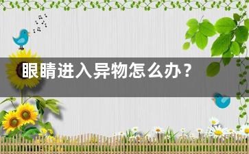 眼睛进入异物怎么办？,眼睛进入异物怎么办教案