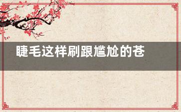 睫毛这样刷跟尴尬的苍蝇腿拜拜
