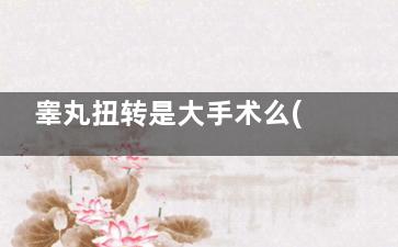 睾丸扭转是大手术么(睾丸扭转是大手术治疗吗)