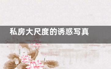 私房大尺度的诱惑写真