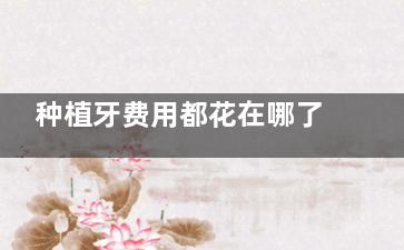种植牙费用都花在哪了？详细解析材料费、手术费和维护费，看完就明白值不值！