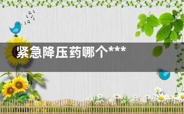 紧急降压药哪个***好(紧急降压药有哪些)