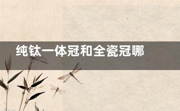 纯钛一体冠和全瓷冠哪个贵？优缺点对比+适合人群，看完再选不踩坑！