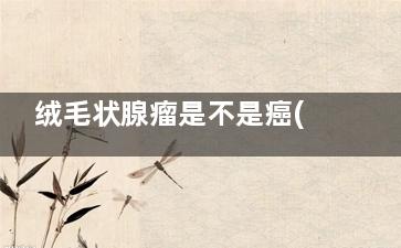 绒毛状腺瘤是不是癌(绒毛状腺瘤不处理会恶变吗)
