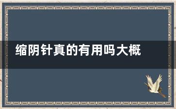缩阴针真的有用吗大概多少钱？具体价格以及网友的真实评价文内详解！