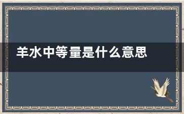 羊水中等量是什么意思(羊水量是多少)