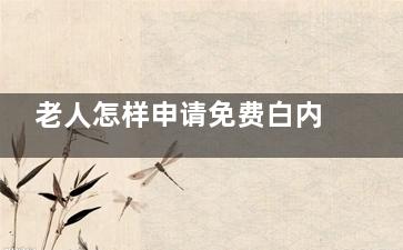 老人怎样申请免费白内障？60岁以上患者从诊断到手术审批的全流程实操手册