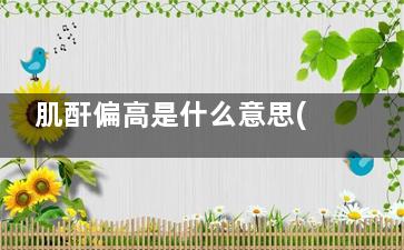 肌酐偏高是什么意思(肾功能肌酐偏高是怎么回事)