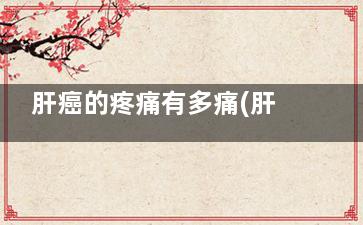 肝癌的疼痛有多痛(肝癌会有多痛)