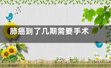 肺癌到了几期需要手术,能手术的肺癌是几期
