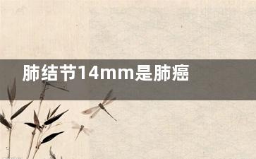 肺结节14mm是肺癌吗(肺结节14mm怎么办)