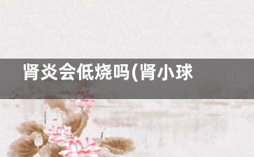肾炎会低烧吗(肾小球肾炎会低烧吗)