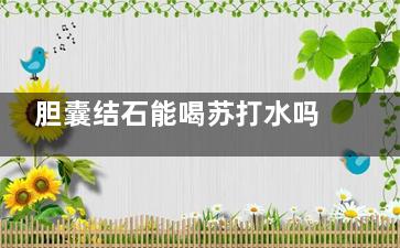 胆囊结石能喝苏打水吗(胆结石可以喝特仑苏吗)