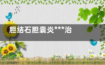 胆结石胆囊炎***治疗方法(胆结石胆囊炎***治疗方法90岁老人)