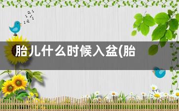 胎儿什么时候入盆(胎儿什么时候入宫腔)
