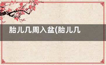 胎儿几周入盆(胎儿几周入盆有什么症状)