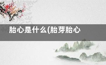 胎心是什么(胎芽胎心是什么)
