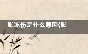 脚冻伤是什么原因(脚冻伤是什么原因导致的)