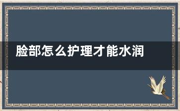 脸部怎么护理才能水润光泽整天
