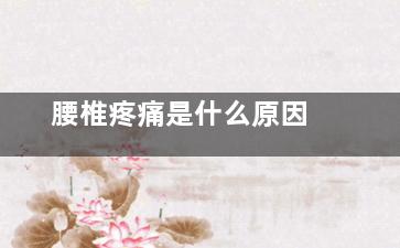 腰椎疼痛是什么原因