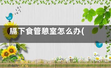 膈下食管憩室怎么办(咽食管憩室)