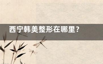 西宁韩美整形在哪里？到院路线/预约方式/营业时间分享，附收费价格