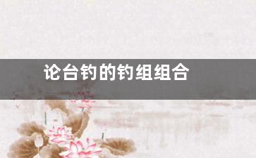 论台钓的钓组组合